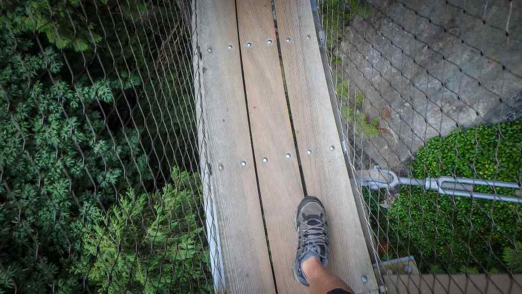 Walking on the Bridge