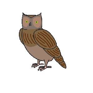 Owl Sticker